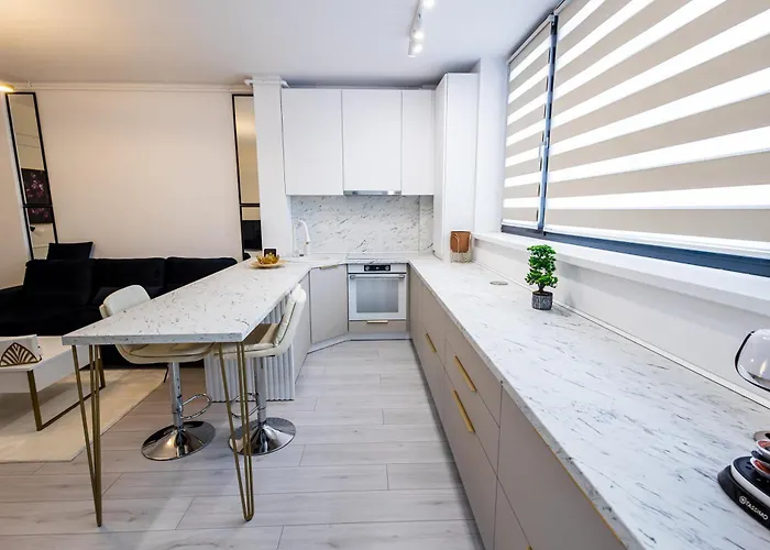 Maieru's Xcity Tower 2 Apartment Timişoara