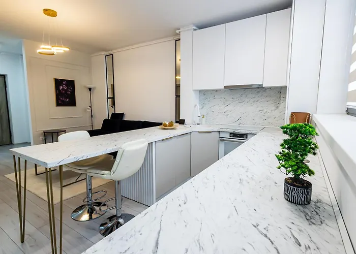 Maieru's Xcity Tower 2 Apartment Timişoara